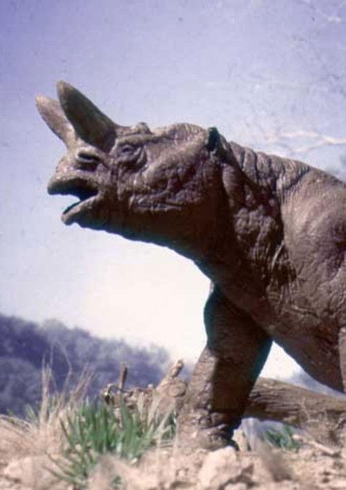 The Age of Mammals (1981) poster