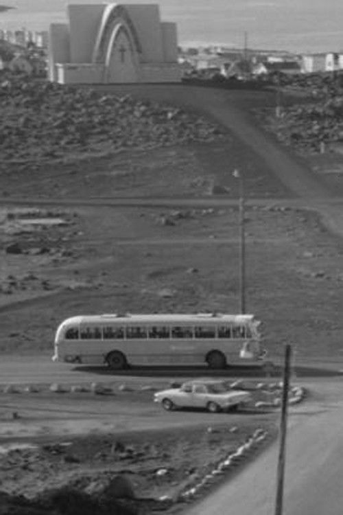 Grænlandsflug (1966) poster