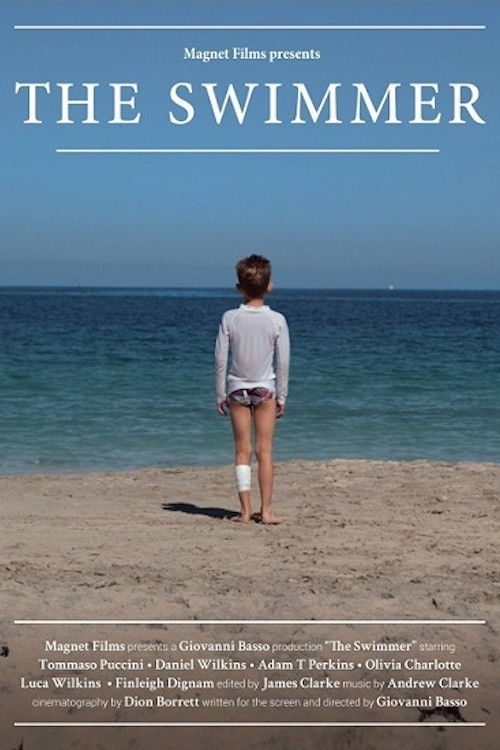 The Swimmer (2013) poster