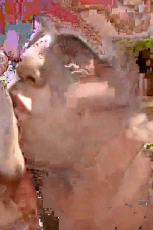 How to Clean Your Closet (2021) poster