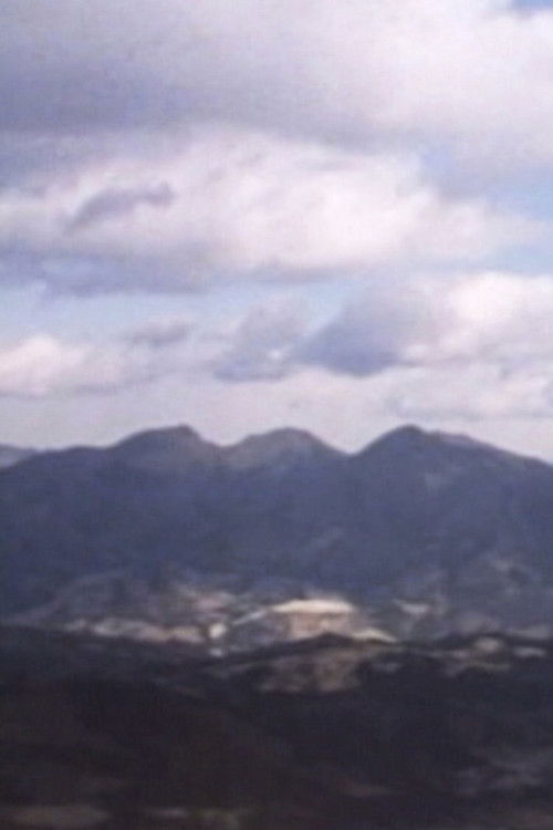 Incorrect Continuity (1999) poster