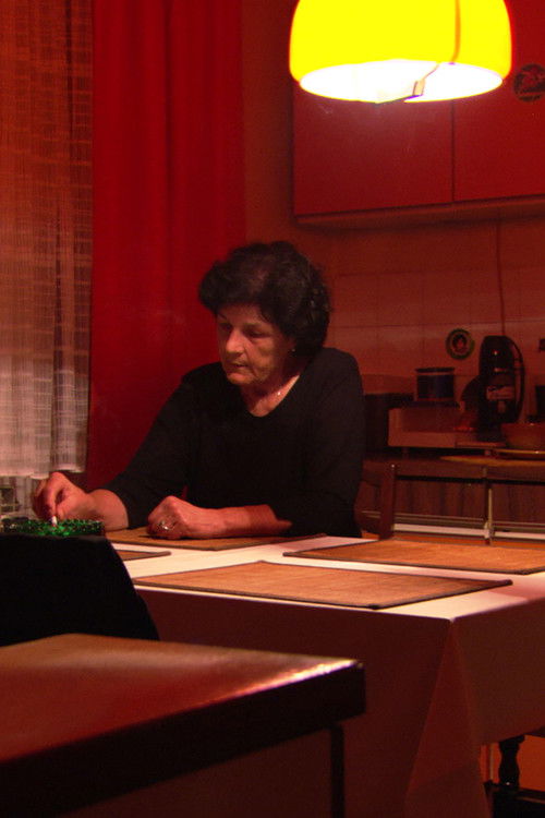 Nemam ti šta reć lijepo/I Have Nothing Nice to Say to You (2006) poster