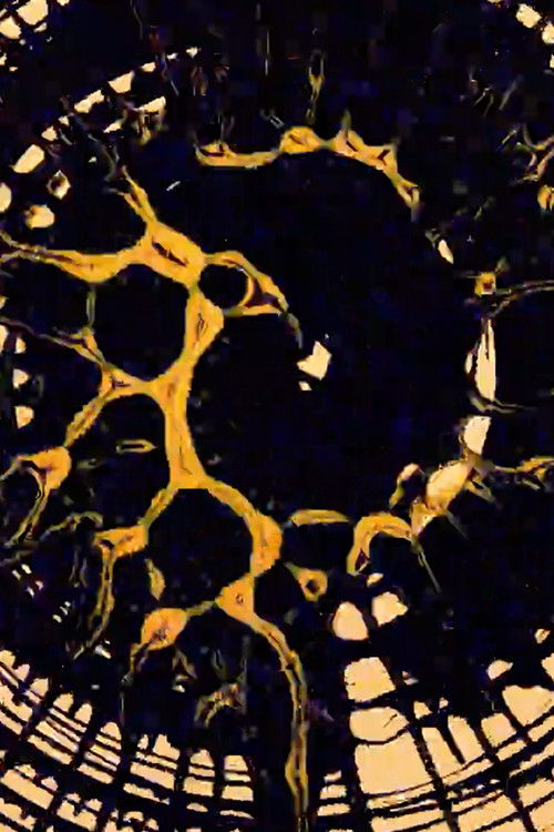 Blotto 649 (2013) poster