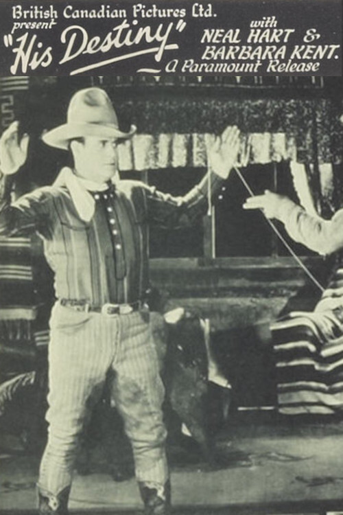 His Destiny (1928) poster