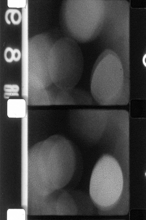 Certaines Observations (1979) poster