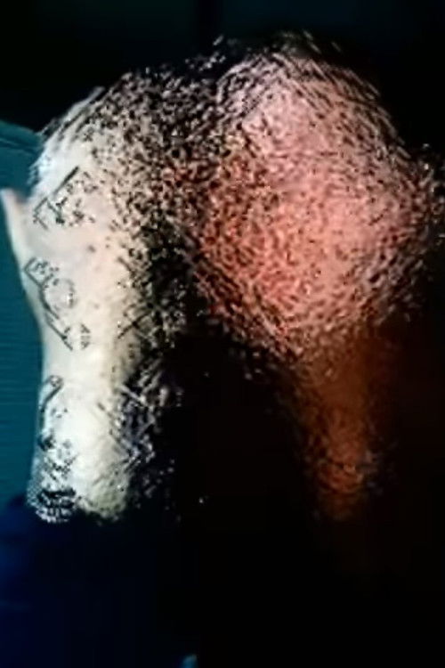 when you walk through the storm (2009) poster