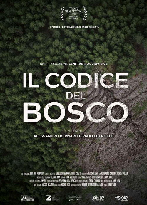 Il codice del bosco (2025) poster