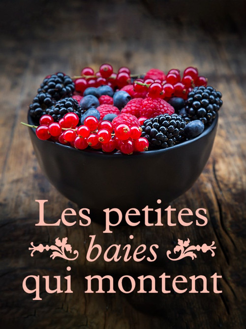 Les petites baies qui montent (2021) poster