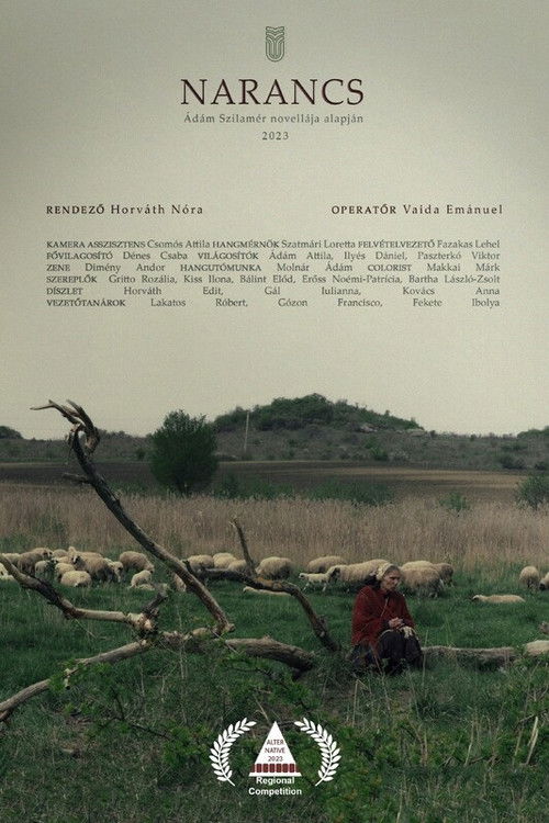 Orange (2023) poster