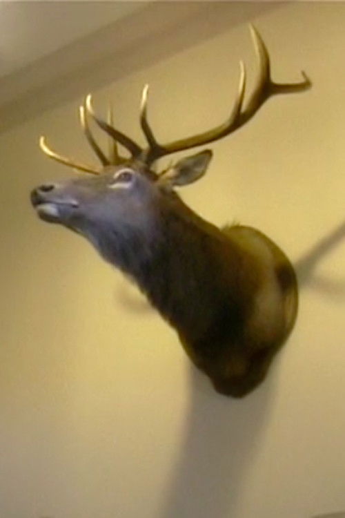 Sea of Love (2003) poster