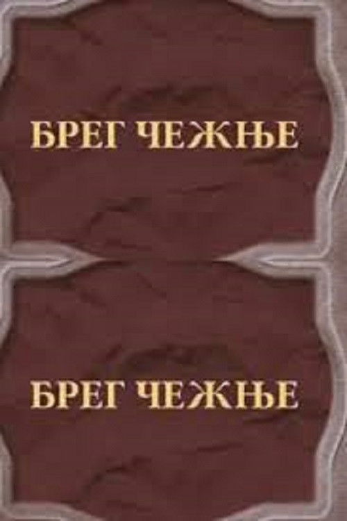 The Shore of Longing (2002) poster