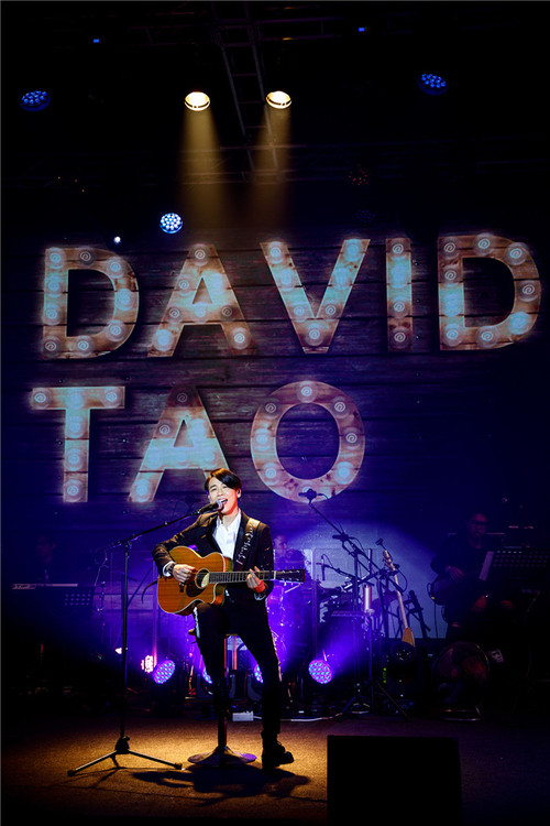 陶喆20周年派对 (2017) poster