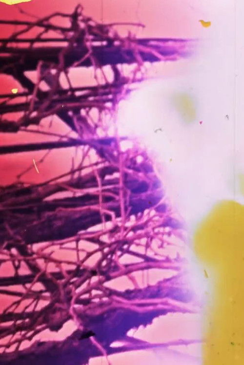 Granular Film - Beirut (2016) poster