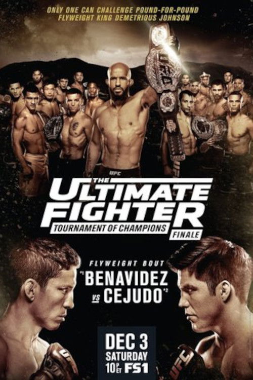 The Ultimate Fighter 24 Finale (2016) poster