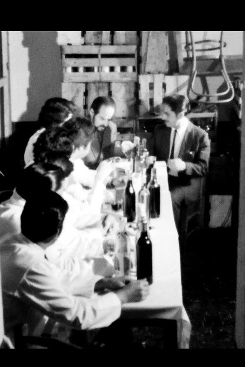 Vías paralelas (1975) poster