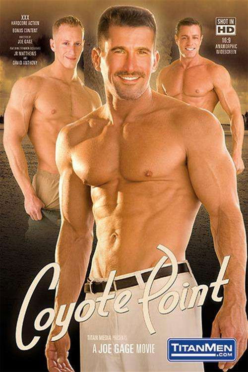 Coyote Point (2010) poster