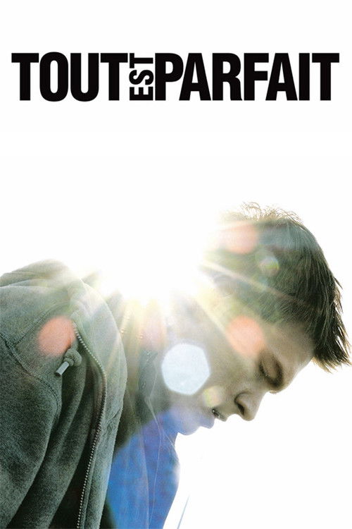 Tout est parfait (2008) poster