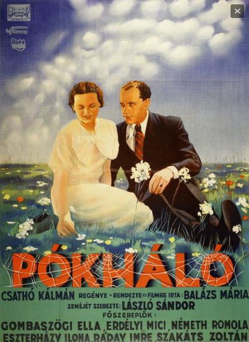 Cobweb (1936) poster