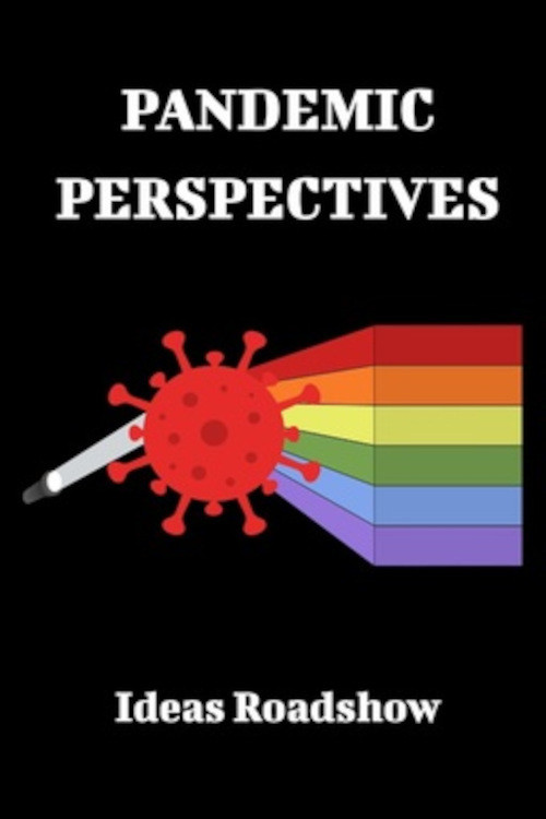 Pandemic Perspectives (2022) poster