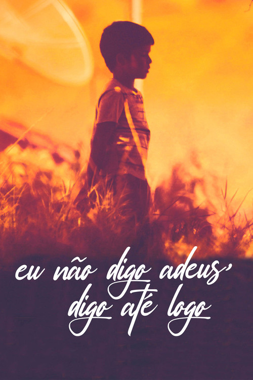 I Don’t Say Goodbye, I Say See You Soon (2013) poster