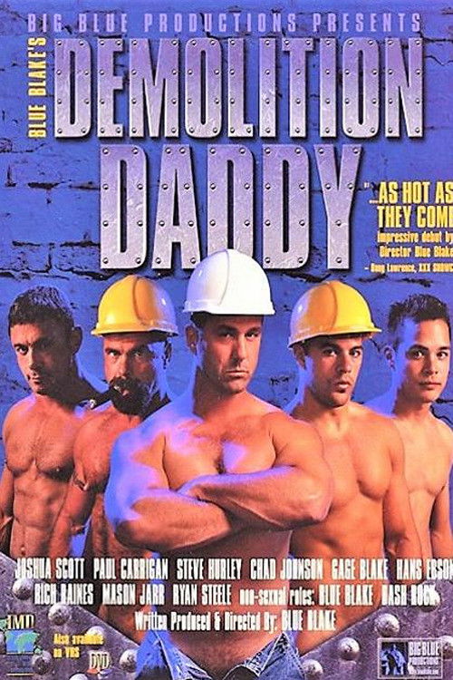 Demolition Daddy (2000) poster