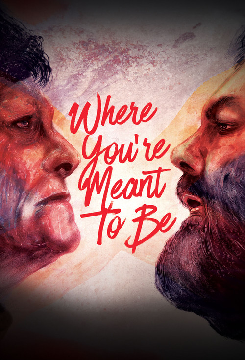 Where You're Meant to Be (2016) poster
