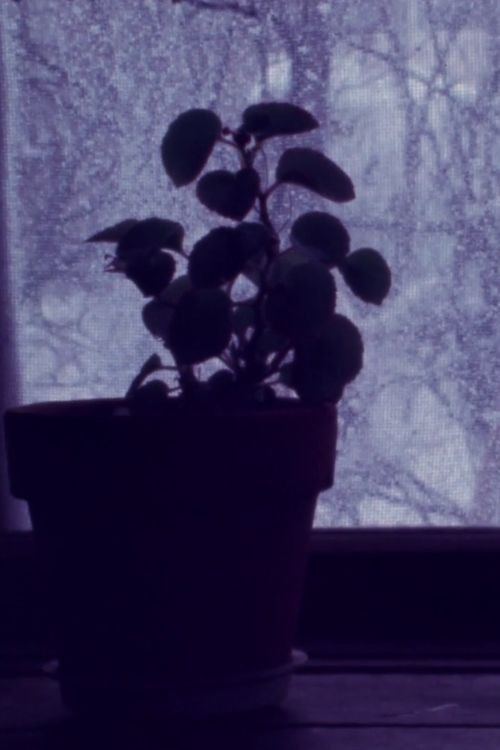 In my Hometown I-III (1978) poster