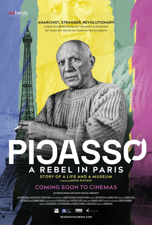 Picasso a Parigi - Storia di una vita e di un museo (2023) poster