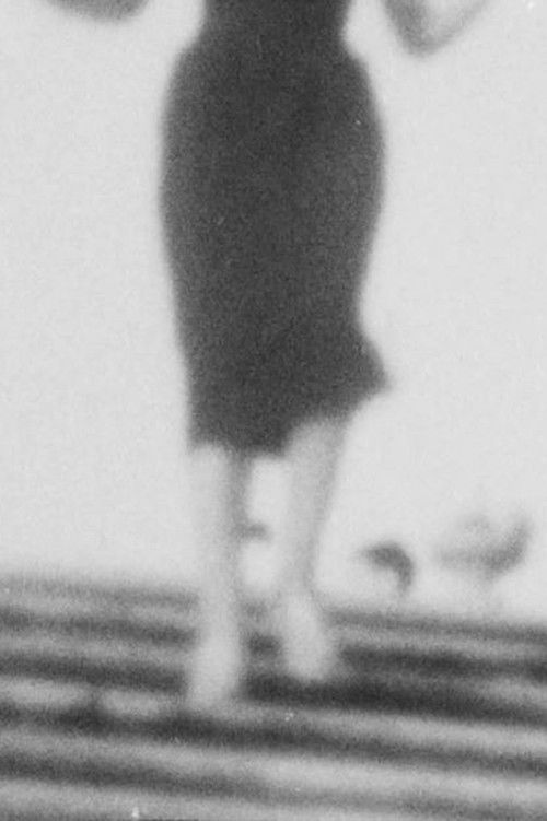 Scale Lente (2019) poster