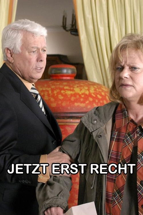 Jetzt erst recht! (2003) poster