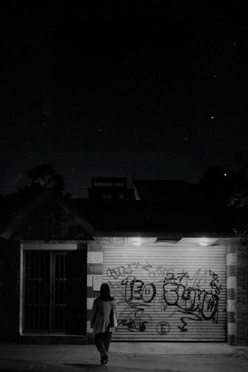 Birds sing at night (2024) poster