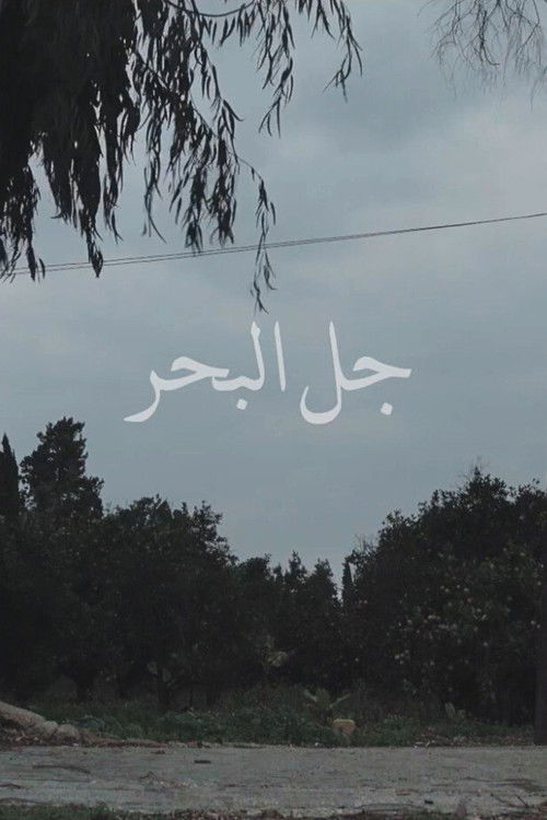 Jal el Bahr poster