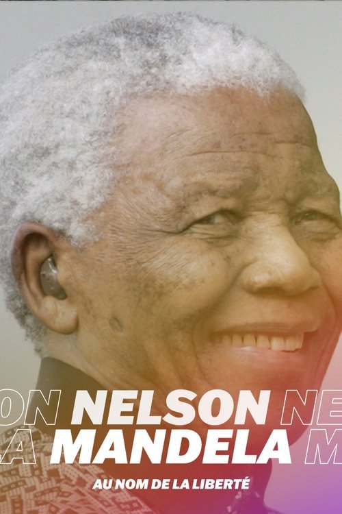 Nelson Mandela, au nom de la liberté (2010) poster