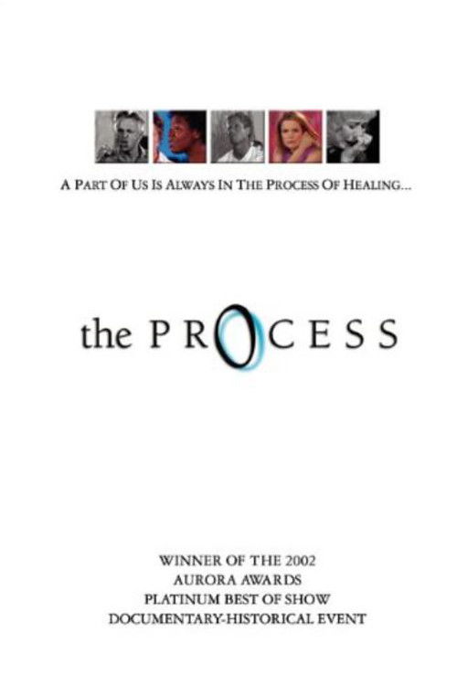 The Process (2003) poster