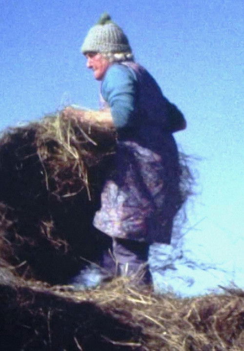 Land Makar (1981) poster