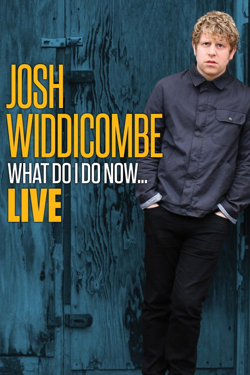 Josh Widdicombe: What Do I Do Now... (2016) poster