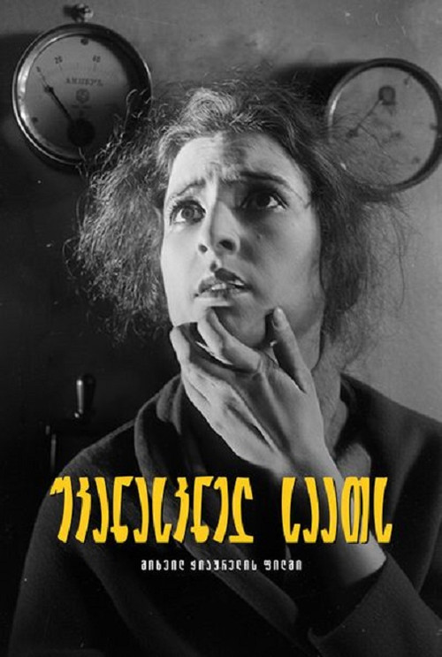 უკანასკნელ საათს (1929) poster