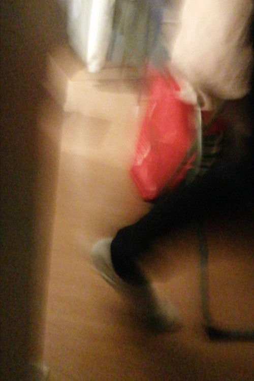 The Garage Stone at the Cinémathèque française (2026) poster