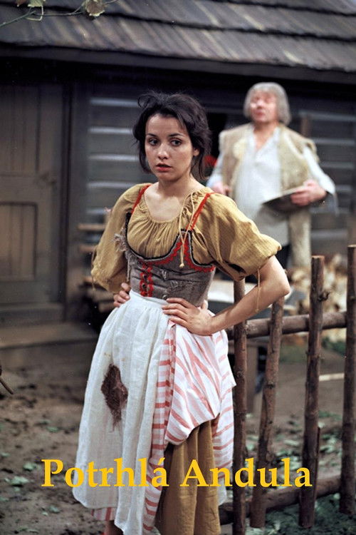 Potrhlá Andula (1983) poster
