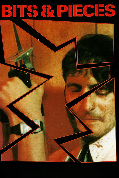 Bits and Pieces (1985) poster