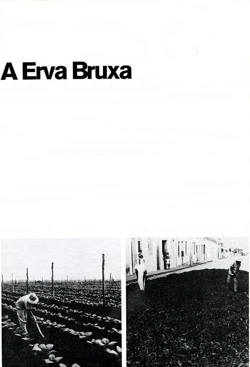 A Erva Bruxa (1970) poster
