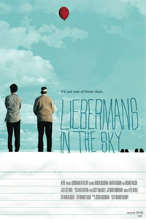Liebermans in the Sky (2009) poster