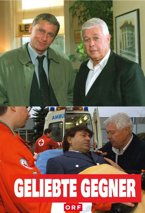 Geliebte Gegner (1998) poster