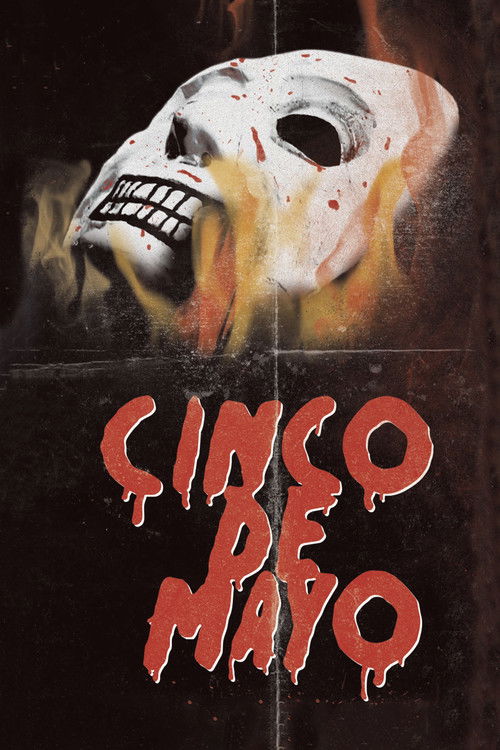 Cinco de Mayo (2013) poster