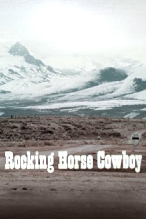 Rocking Horse Cowboy (1977) poster