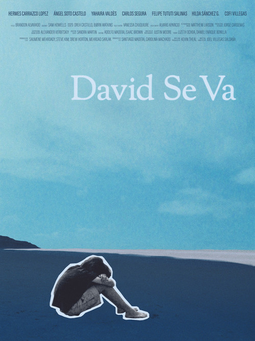 David Se Va poster