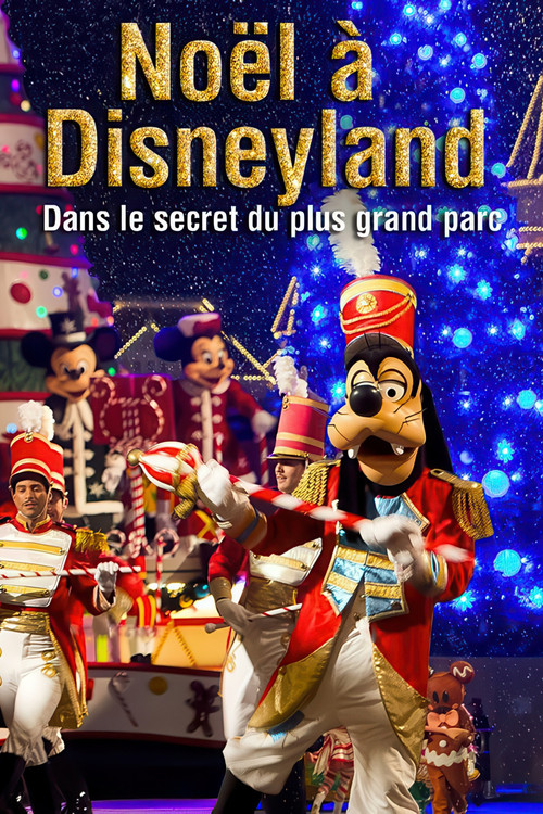 Noël à Disneyland : Dans le secret du plus grand parc d'attraction d'Europe (2014) poster