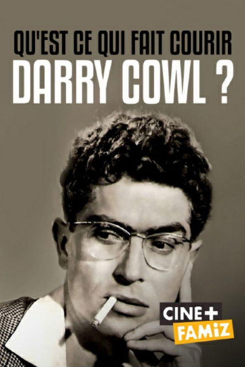 Qu'est-ce qui fait courir Darry Cowl ? (2020) poster