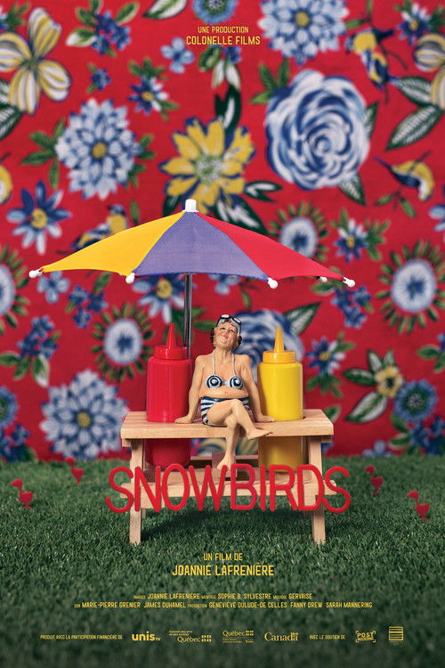 Snowbirds (2018) poster