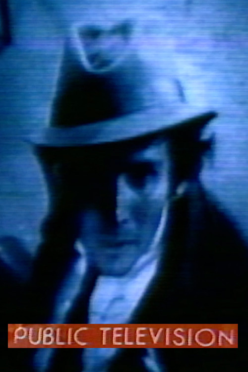 Public Television (1979) poster
